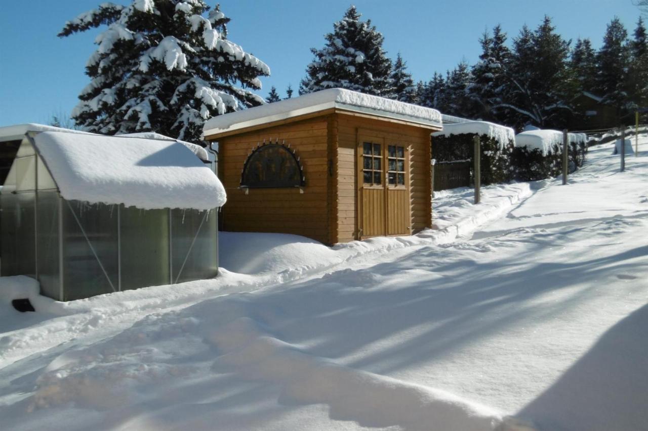Ferienwohnung Rauscher Altenberg 외부 사진