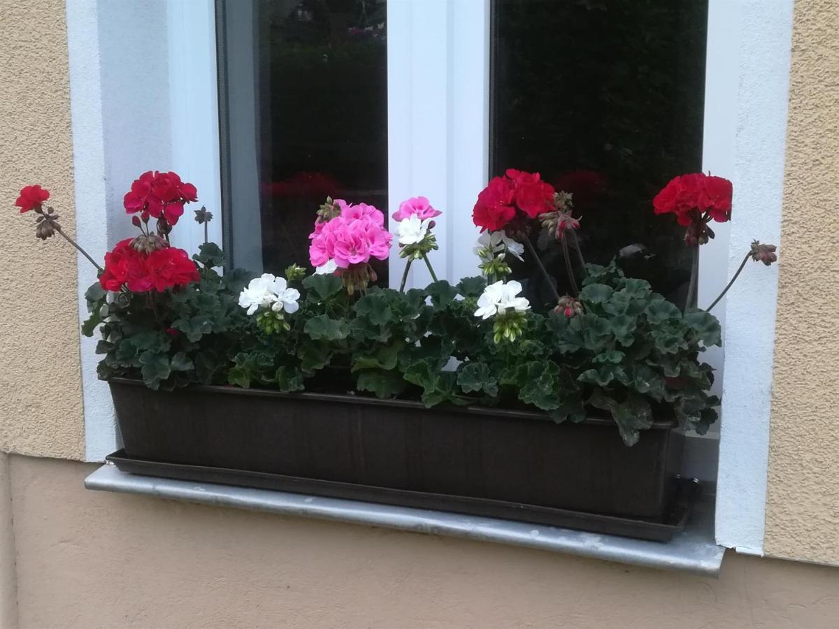 Ferienwohnung Rauscher Altenberg 외부 사진