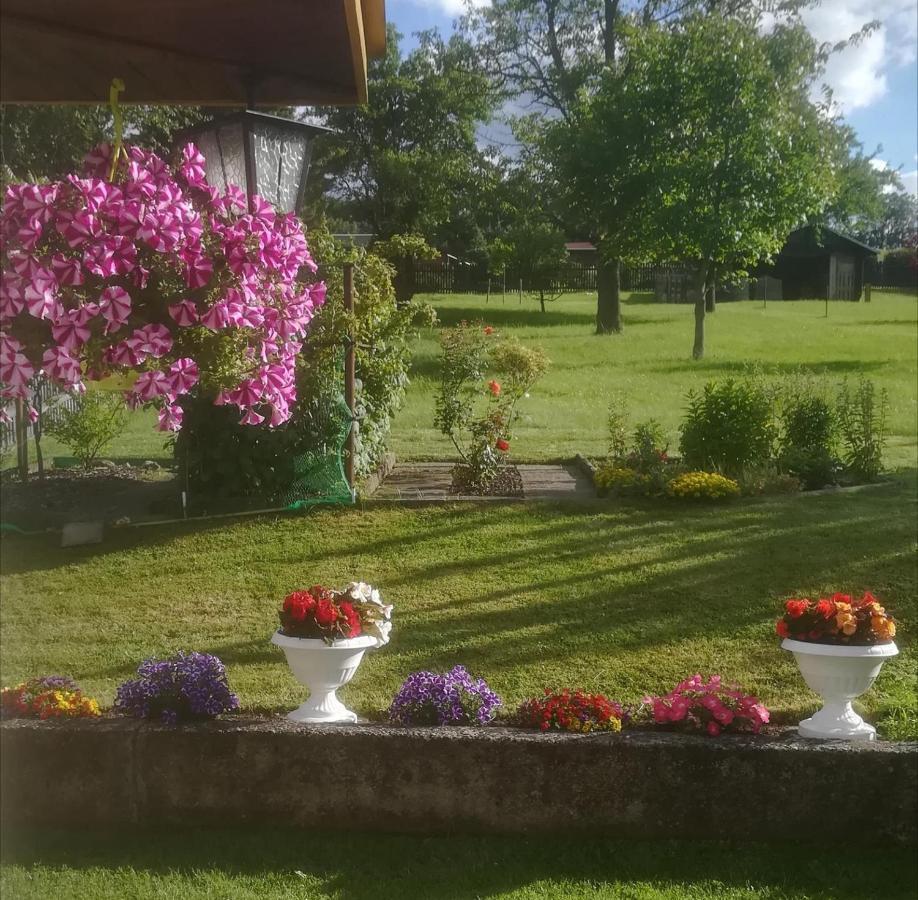 Ferienwohnung Rauscher Altenberg 외부 사진