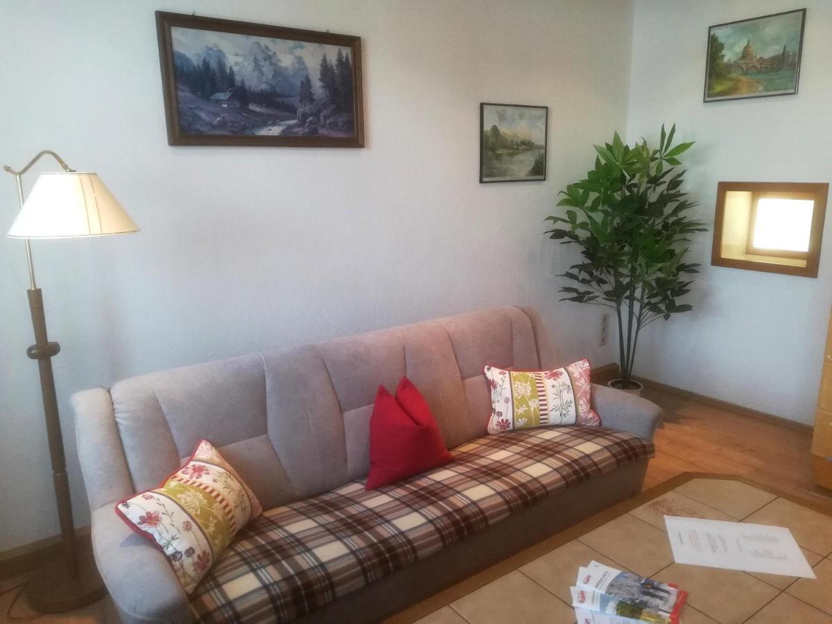 Ferienwohnung Rauscher Altenberg 외부 사진
