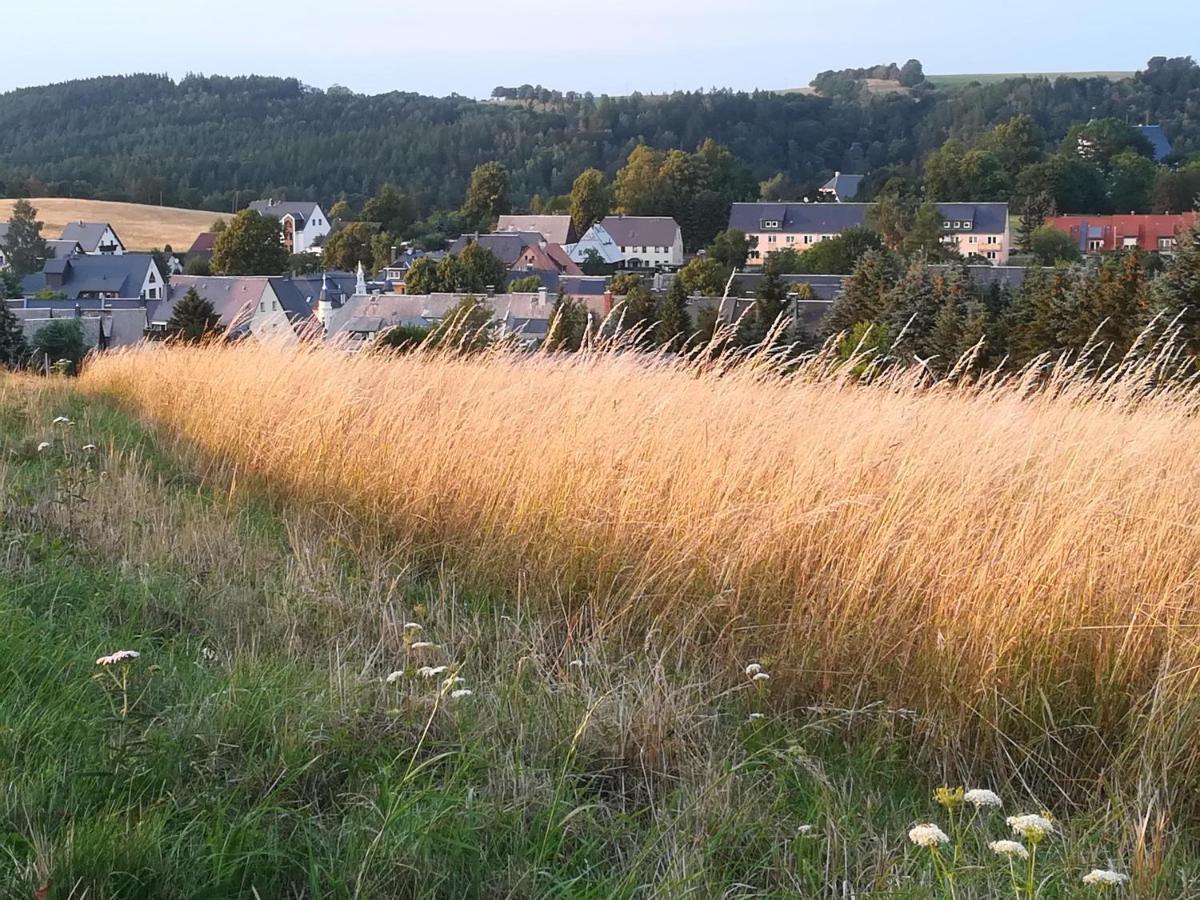 Ferienwohnung Rauscher Altenberg 외부 사진